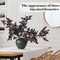 3 Pack Artificial Cimicifuga Plant Stems - 32" Faux Plum Cimicifuga Ramosa Leaf Spray - Tall Silk Fall Foliage Branches for Home Vase, Farmhouse Mantel, and Autumn Wedding Decor